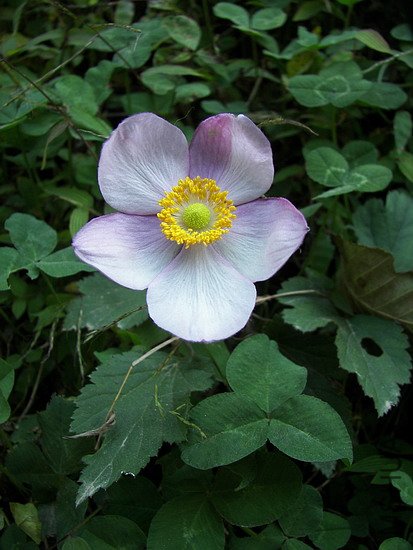 100_8102.jpg