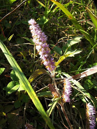 100_8088.jpg
