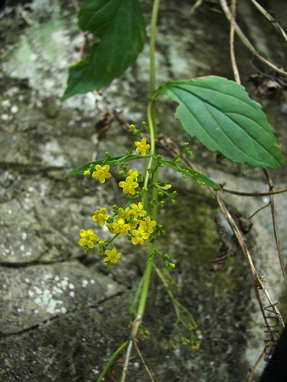 100_8217.jpg