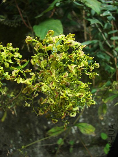 100_8216.jpg
