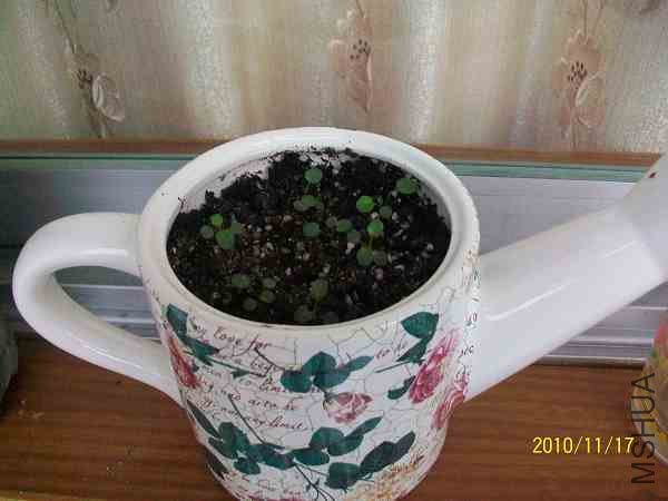 nEO_IMG_��Ƭ 316.jpg