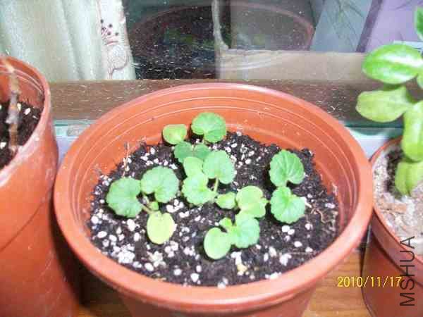 nEO_IMG_��Ƭ 317.jpg