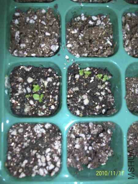 nEO_IMG_��Ƭ 319.jpg