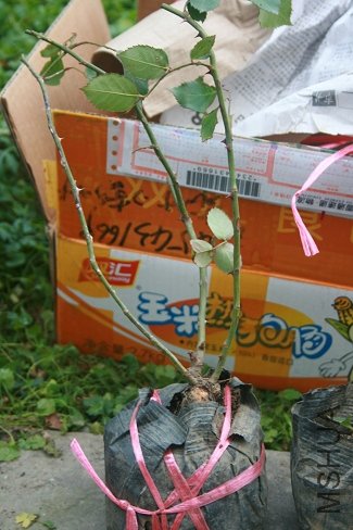 �������� �� �� ��