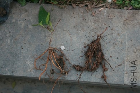 ������̱�������ͳ���ұ����Ұγ����ĳ��Ż�ľ���������ϸһ����������ĸ���ȫ��һ��