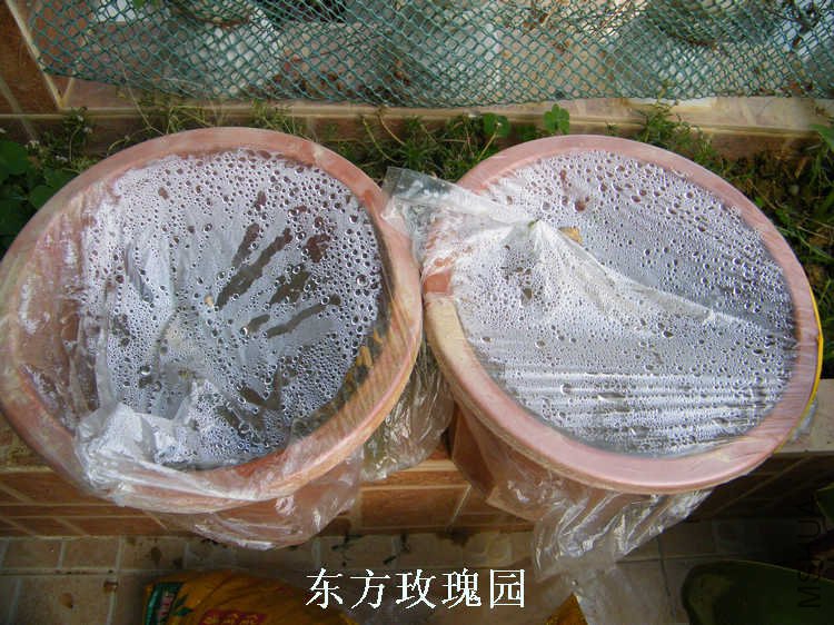 DSCF5768.jpg