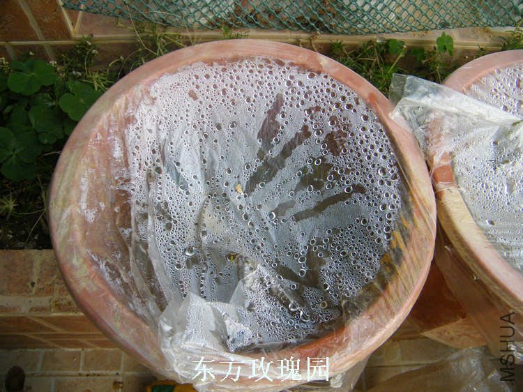DSCF5769.jpg