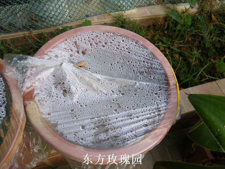DSCF5770.jpg