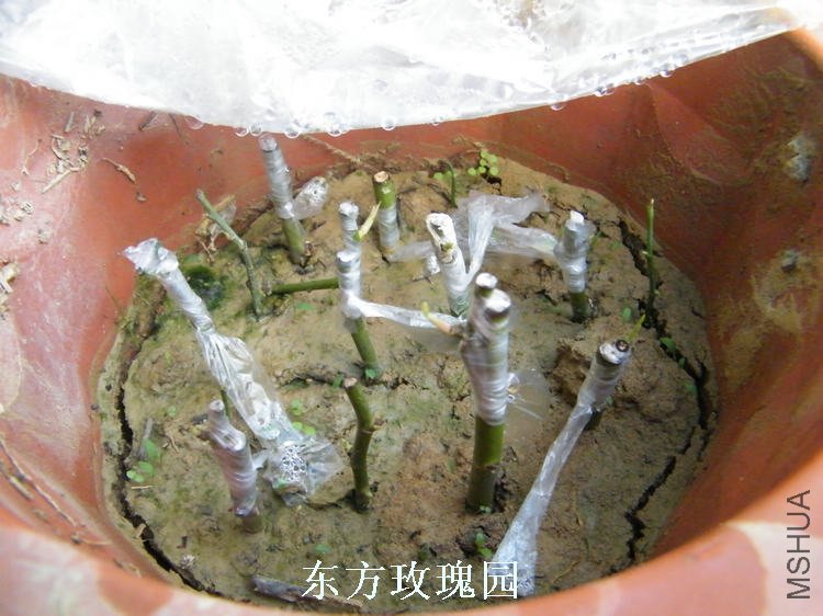 DSCF5771.jpg