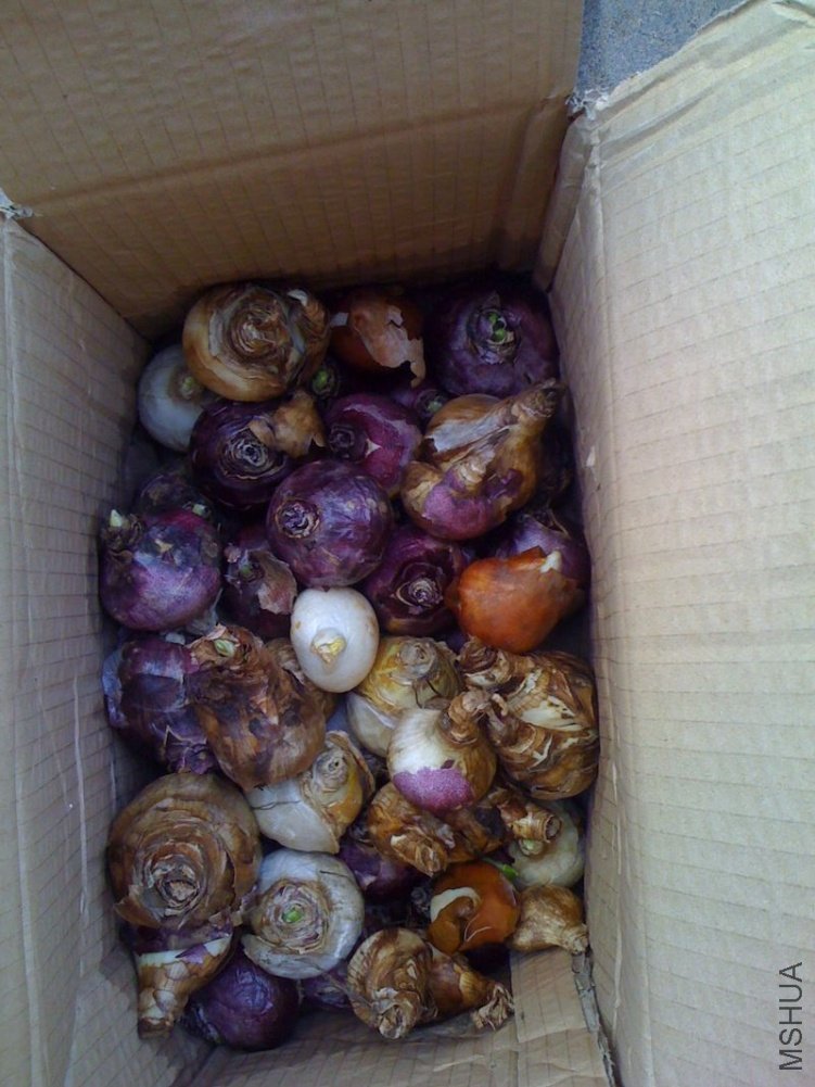 ������ķ����