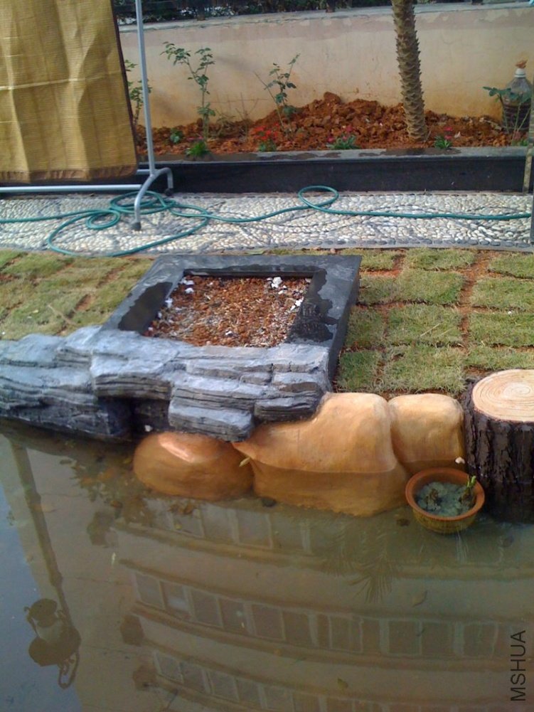 С��̳����