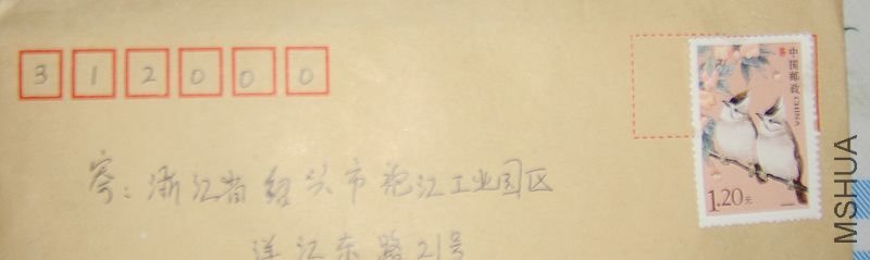 DSC04782.jpg