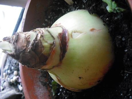 2010_11262010-3-10005.JPG