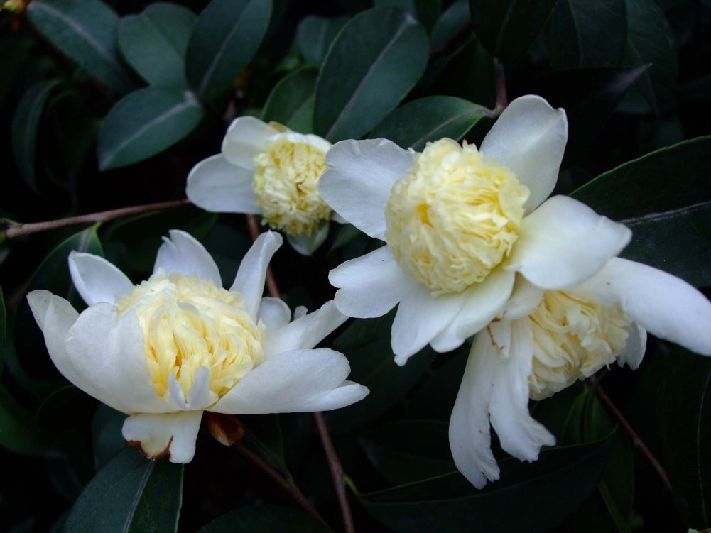 ��Ƭ10-11-26 01111.jpg