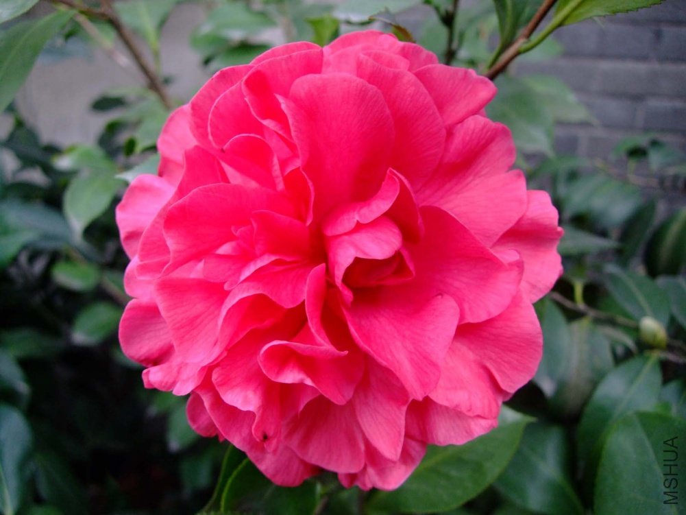 ��Ƭ10-11-26 01511.jpg