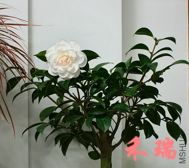 ��Ƭ 1192.jpg