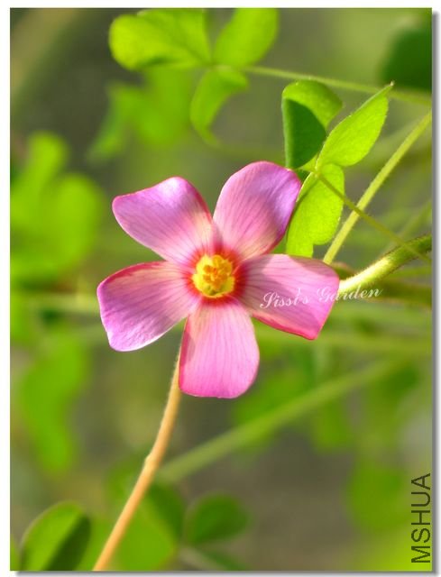 nEO-IMG-101031 121.jpg