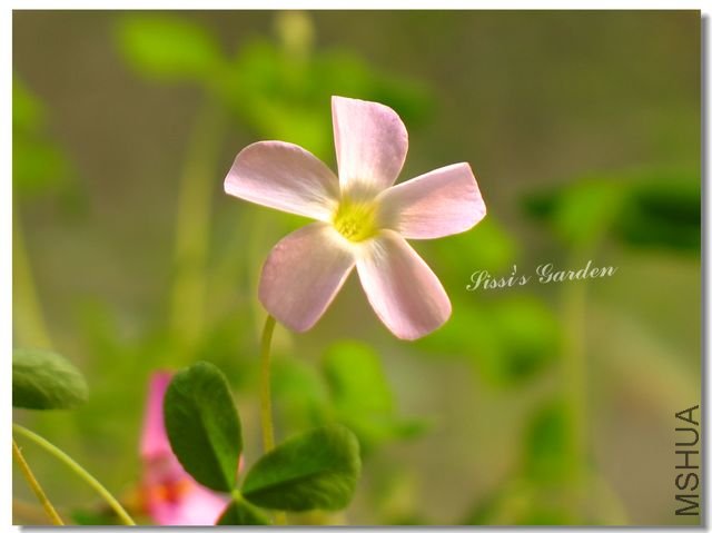 nEO-IMG-101031 137.jpg