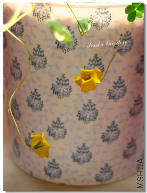 nEO_IMG_101031 122.jpg