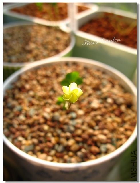 nEO_IMG_101031 102.jpg