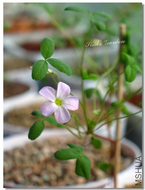 nEO_IMG_101031 064.jpg