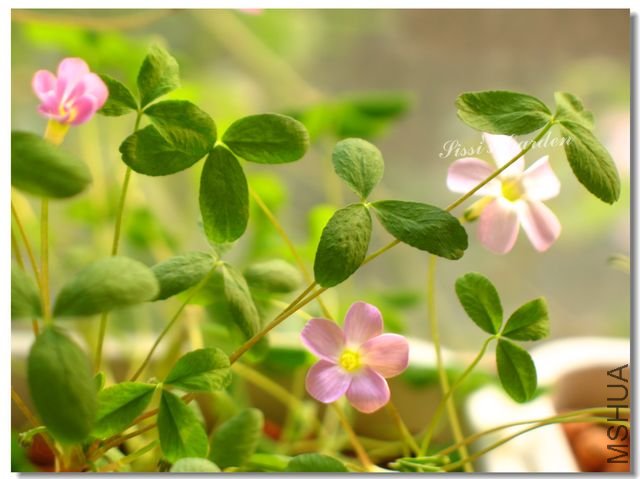 nEO_IMG_101031 150.jpg