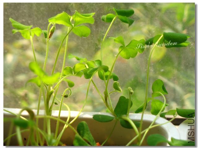 nEO_IMG_101031 118.jpg