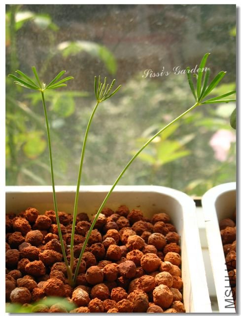 nEO_IMG_101031 113.jpg