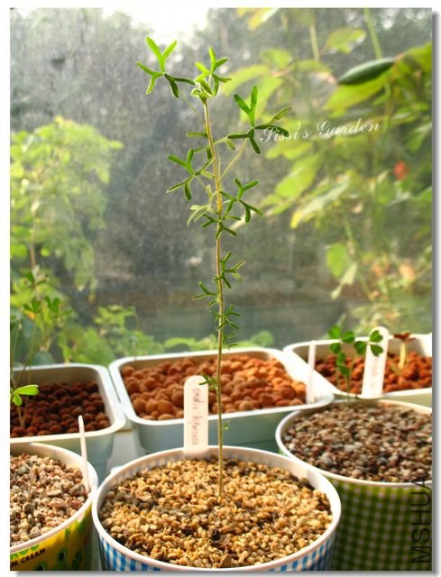 nEO_IMG_101031 090.jpg