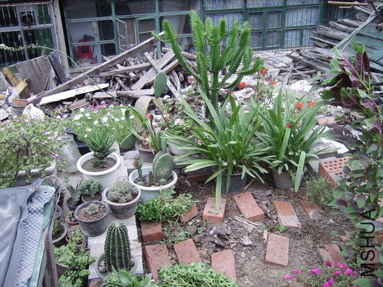 P10.JPG