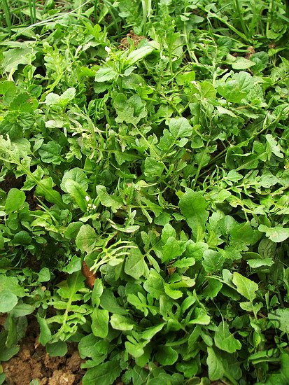101_8192.jpg