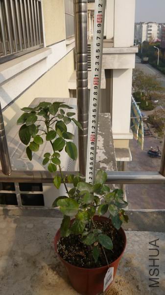 06.JPG