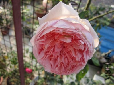 ��Ƭ1 218.jpg