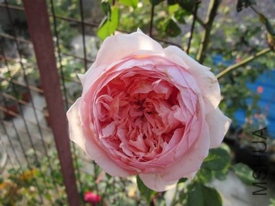��Ƭ1 190.jpg