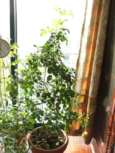 DSCF0214.JPG
