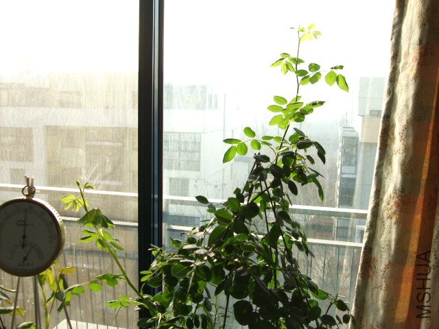 DSCF0215.JPG