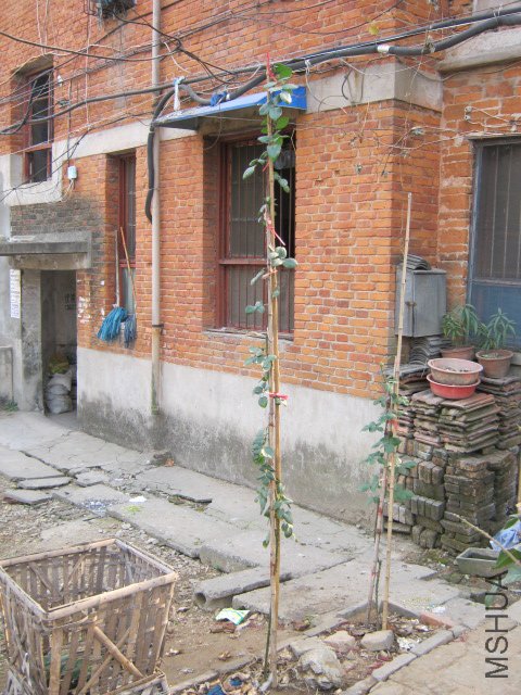 IMG_0117.JPG
