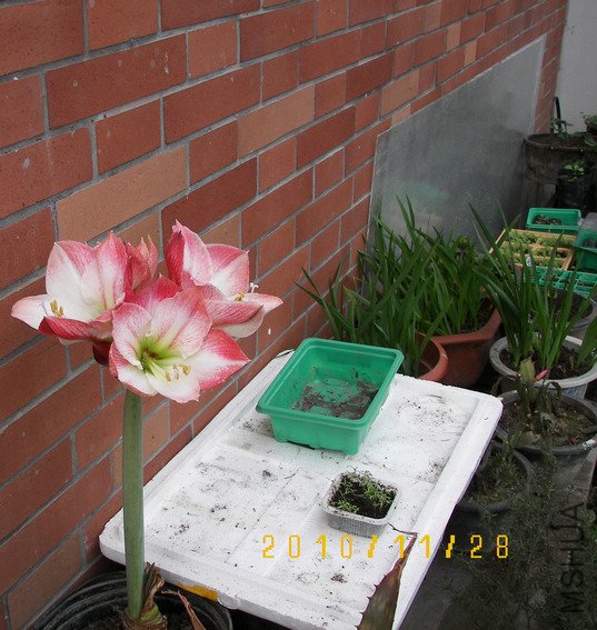100_4574.jpg