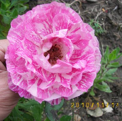 100_4503.jpg