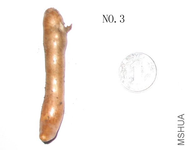 NO.3.jpg