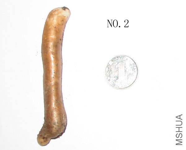 NO.2.jpg