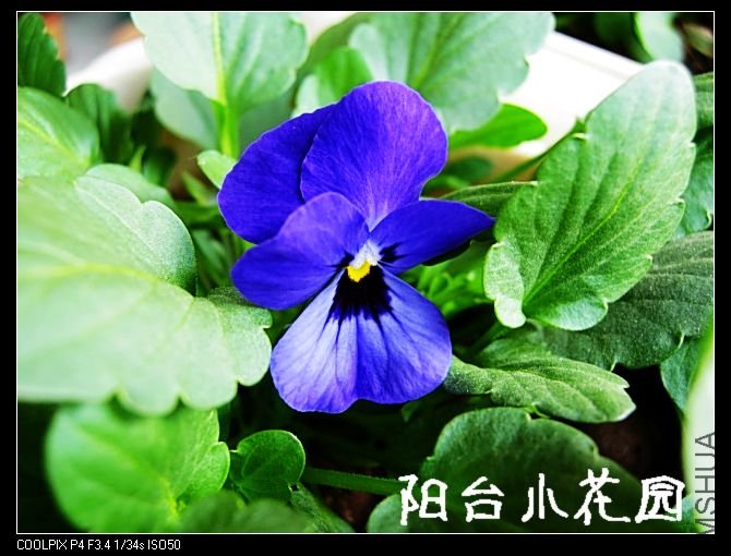 DSCN8503.JPG