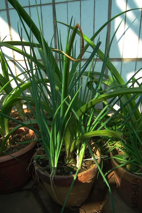 DSCF2240.JPG