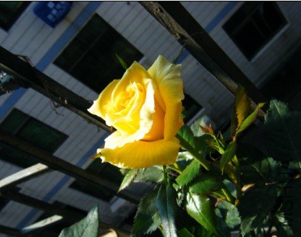 %SOOTXPH`MNHOU}1L~Z)}03.jpg