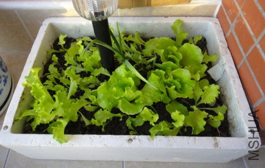 11-24������