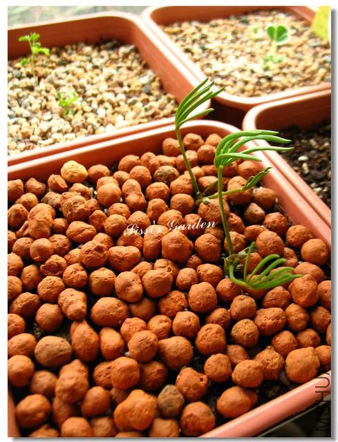 nEO_IMG_101104 011.jpg