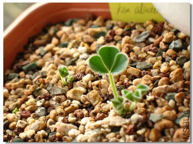 nEO_IMG_101104 013.jpg