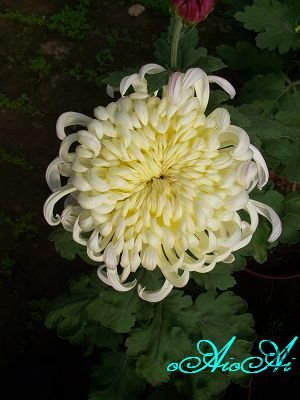 �ջ����ÿ�ާ 001.jpg