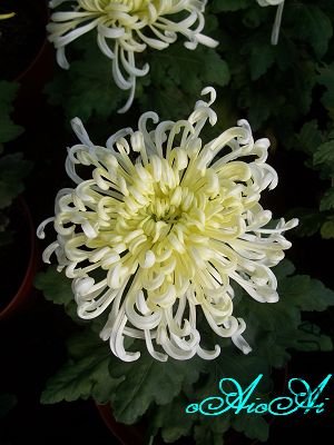 �ջ����ÿ�ާ 011.jpg