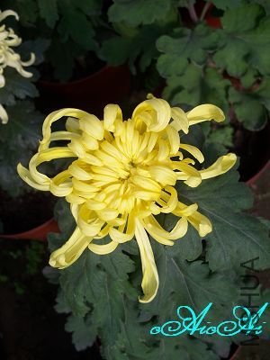 �ջ����ÿ�ާ 014.jpg